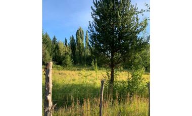 SE ALQUILA TERRENO DE 6.000 M2 EN EL BOLSÓN