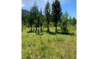 SE ALQUILA TERRENO DE 6.000 M2 EN EL BOLSÓN