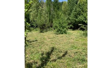 SE ALQUILA TERRENO DE 6.000 M2 EN EL BOLSÓN