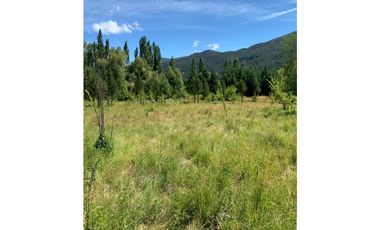 SE ALQUILA TERRENO DE 6.000 M2 EN EL BOLSÓN