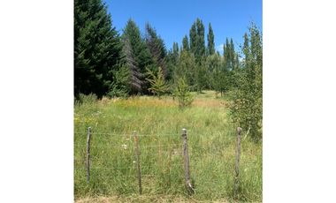 SE ALQUILA TERRENO DE 6.000 M2 EN EL BOLSÓN