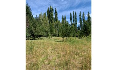 SE ALQUILA TERRENO DE 6.000 M2 EN EL BOLSÓN