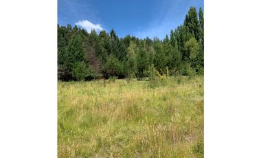 SE ALQUILA TERRENO DE 6.000 M2 EN EL BOLSÓN