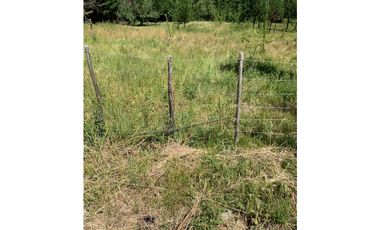 SE ALQUILA TERRENO DE 6.000 M2 EN EL BOLSÓN