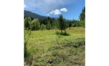 SE ALQUILA TERRENO DE 6.000 M2 EN EL BOLSÓN