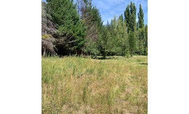 SE ALQUILA TERRENO DE 6.000 M2 EN EL BOLSÓN