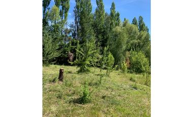 SE ALQUILA TERRENO DE 6.000 M2 EN EL BOLSÓN