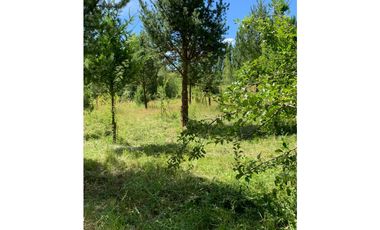 SE ALQUILA TERRENO DE 6.000 M2 EN EL BOLSÓN