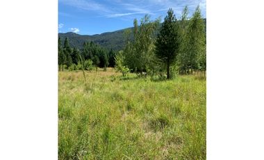 SE ALQUILA TERRENO DE 6.000 M2 EN EL BOLSÓN