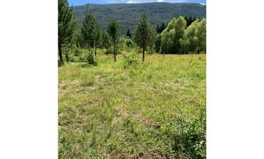 SE ALQUILA TERRENO DE 6.000 M2 EN EL BOLSÓN