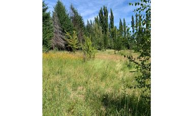 SE ALQUILA TERRENO DE 6.000 M2 EN EL BOLSÓN