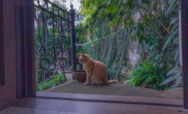 Casa de Lujo en Renta Amueblada en Colinas de San Javier (San Wenceslao)