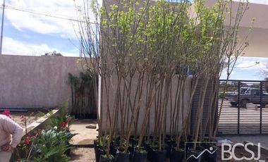 Casa - Terrazas al Oeste