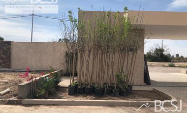 Casa - Terrazas al Oeste