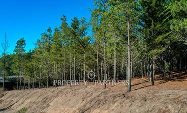 Puertecillo, Terreno con preciosa vista en Punta Puertecillo