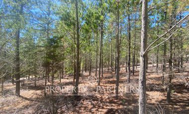 Puertecillo, Terreno con preciosa vista en Punta Puertecillo