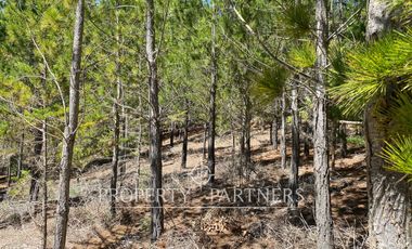 Puertecillo, Terreno con preciosa vista en Punta Puertecillo