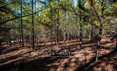 Puertecillo, Terreno con preciosa vista en Punta Puertecillo