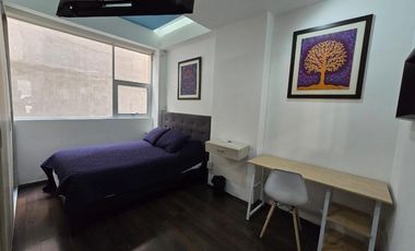 Departamento en Venta en Cuauhtémoc, Rio Rhin 33