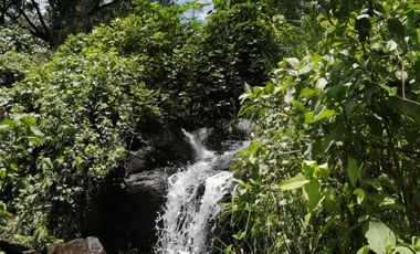 Hotel Canto de aves en Malinalco