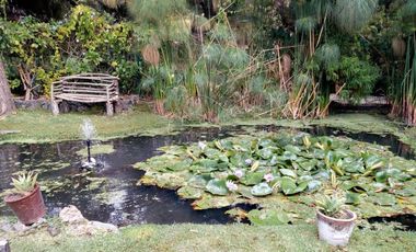 Hotel Canto de aves en Malinalco