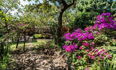 Hotel Canto de aves en Malinalco