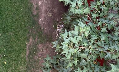 Venta de Departamento en Lomas Verdes