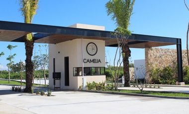 CASA EN VENTA MERIDA, SITPACH, PRIVADA CAMELIA, ENTREGA INMEDIATA.