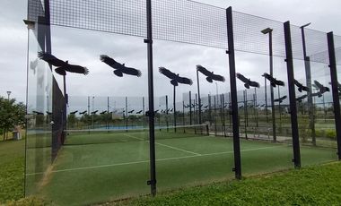 🏡 Departamento en Life Styles Santa Fe, Xochitepec — $2,150,000 ✅✨