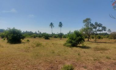 VENDO RANCHO EN DOS BOCAS PARAISO, TABASCO