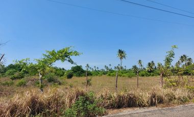 VENDO RANCHO EN DOS BOCAS PARAISO, TABASCO
