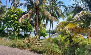 VENDO RANCHO EN DOS BOCAS PARAISO, TABASCO