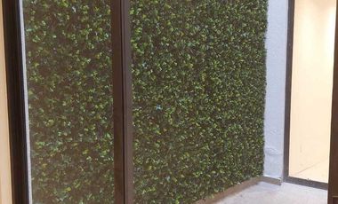 ROOF GARDEN  EN FUENTE DE JUVENTUD, LOMAS DE TECHAMACHALCO