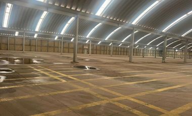 Bodega Industrial en Venta, Zonda Ind. Valle de Oro, Cod. BGV292