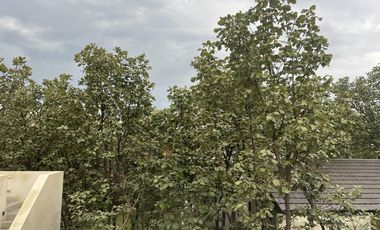 Casa de una planta en Venta en Bugambilias segunda sección, Zapopan