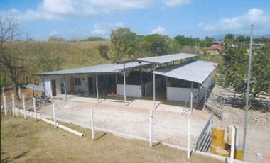 CHEPO / LOMA DEL RIO / 1.6 HECTAREA / 3 HABITACION / PISCINA / TERRAZA