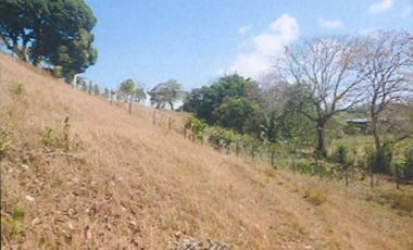 CHEPO / LOMA DEL RIO / 1.6 HECTAREA / 3 HABITACION / PISCINA / TERRAZA