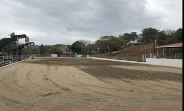 CHEPO / LOMA DEL RIO / 1.6 HECTAREA / 3 HABITACION / PISCINA / TERRAZA