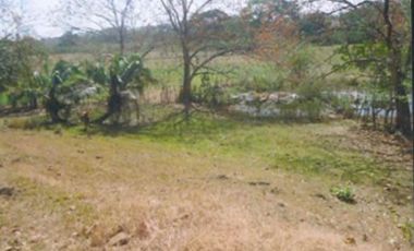 CHEPO / LOMA DEL RIO / 1.6 HECTAREA / 3 HABITACION / PISCINA / TERRAZA