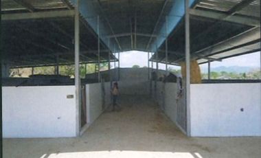 CHEPO / LOMA DEL RIO / 1.6 HECTAREA / 3 HABITACION / PISCINA / TERRAZA