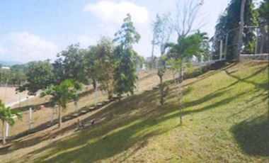 CHEPO / LOMA DEL RIO / 1.6 HECTAREA / 3 HABITACION / PISCINA / TERRAZA