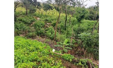 SAN CARLOS / 10000M / VISTA AL MAR Y MONTAÑAS / QUEBRADA INLUIDA  AG