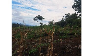 SAN CARLOS / 10000M / VISTA AL MAR Y MONTAÑAS / QUEBRADA INLUIDA  AG