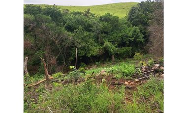 SAN CARLOS / 10000M / VISTA AL MAR Y MONTAÑAS / QUEBRADA INLUIDA  AG