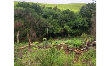 SAN CARLOS / 10000M / VISTA AL MAR Y MONTAÑAS / QUEBRADA INLUIDA  AG