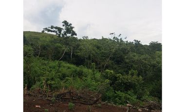 SAN CARLOS / 10000M / VISTA AL MAR Y MONTAÑAS / QUEBRADA INLUIDA  AG