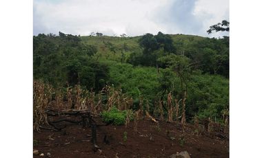 SAN CARLOS / 10000M / VISTA AL MAR Y MONTAÑAS / QUEBRADA INLUIDA  AG