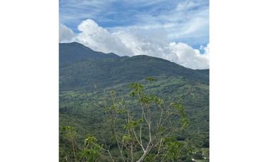 EN.VENTA FINCA DE 3Ha + Jaramillo.abajo