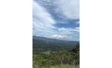 EN.VENTA FINCA DE 3Ha + Jaramillo.abajo