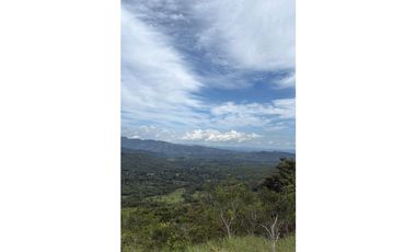 EN.VENTA FINCA DE 3Ha + Jaramillo.abajo